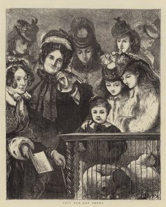 Gatos y Exposiciones de Gatos de Francis S. Walker